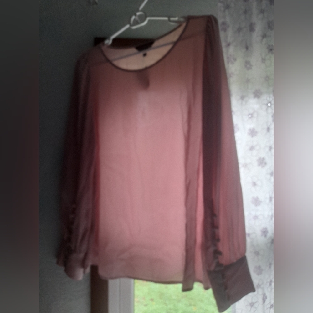 Blush Pink Sheer Chiffon Blouse | Long Sleeve | Size M | Romantic Feminine Top
